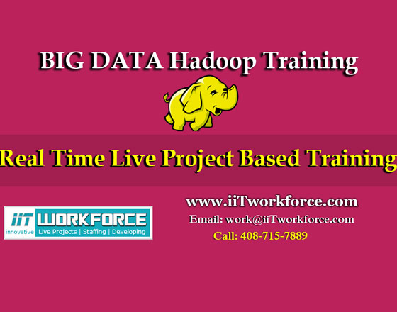 Big data/Hadoop Project Workshop by iiT Workforce 