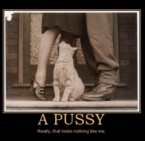 /media/k2/galleries/13737/10481_20110825_1534124101