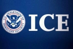 ICE arrests, 129 Indians, us 129 indians among 130 students arrested in pay to stay immigration fraud, 6 8 indians arrested