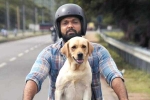 777 Charlie movie review, 777 Charlie telugu movie review, 777 charlie movie review rating story cast and crew, Rakshit shetty