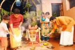 Plant Tulsi, Plant Tulsi, tulsi puja, Holy plant tulsi
