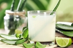 Aloe Vera Juice, Aloe Vera Juice latest, can aloe vera juice help in blood sugar control, Ass