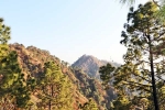 Kasauli tour, Kasauli breaking, amazing things to do and see in kasauli, Spiritual journey