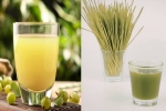 Amla Juice, Amla Juice Vs Wheatgrass Juice comparision, amla juice vs wheatgrass juice for fatty liver, Paris