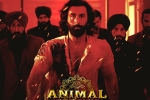 Animal film, Animal latest breaking, record breaking nominations for animal, Awards
