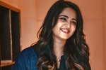 Anushka Shetty, Anushka Shetty, anushka back to shoot, Anushka shetty Anushka Shetty, Anushka Shetty, anushka back to shoot, Anushka shetty