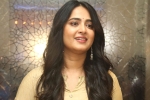 Anushka new movie, Anushka new movie, anushka s next project updates, Nishabd