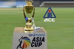 Saurav Ganguly, Asia Cup, asia cup is canceled bcci president saurav ganguly, Bcci president