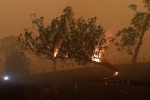 rains, forest land, australia fires warnings of huge blazes ahead despite raining, Global warming