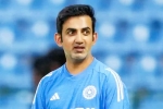 Gautam Gambhir breaking news, Gautam Gambhir latest breaking, bcci to sack gautam gambhir, India Gautam Gambhir breaking news, Gautam Gambhir latest breaking, bcci to sack gautam gambhir, India