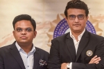 Supreme Court, constitution, supreme court to decide the future of bcci president saurav ganguly in 2 weeks, Bcci president