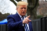 foreign, H1-B visa, trump bans hiring of h1b visa holders for federal contracts, H1b visas