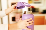 Best Water Bottle home use, Best Water Bottle latest, which is the best water bottle to use at home, Nights