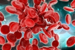 Scientists Generate Blood Forming Stem Cells, Health news, scientists generate blood forming stem cells, Stem cells