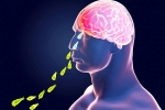 Primary Amoebic Meningoencephalitis deaths, Kerala, brain eating amoeba in kerala why and how it spreads, Girl