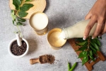 Buttermilk for Weightloss breaking, Buttermilk for Weightloss news, buttermilk before bed will help in weight loss, Ads
