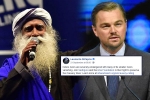 sadhguru, Leonardo DiCaprio support to cauvery calling, civil society groups ask dicaprio to withdraw support for cauvery calling, Nawazuddin siddiqui