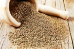Chewing Ajwain after dinner, Chewing Ajwain, can chewing ajwain after dinner relieve acidity, Begins