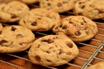 Tasty and Crunchy Chocolate Cookies Recipe, Tasty and Crunchy Chocolate Cookies Recipe, tasty and crunchy chocolate cookies recipe, Cookies recipe