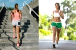 Climbing Stairs Vs Brisk Walking latest updates, Climbing Stairs Vs Brisk Walking latest updates, climbing stairs vs brisk walking which is good for heart, Hero Climbing Stairs Vs Brisk Walking latest updates, Climbing Stairs Vs Brisk Walking latest updates, climbing stairs vs brisk walking which is good for heart, Hero
