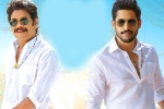 Nagarjuna, Bangarraju news, ten days worldwide collections of bangarraju, Kalyan krishna