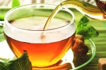 chamomile tea, chamomile tea, is consuming tea linked to immunity, Chamomile tea