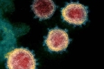 Coronavirus from China, Covid-26, face covid 26 and covid 32 warns experts, Financial crunch