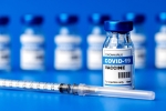 Covid vaccine, Covid vaccine protection research, protection of covid vaccine wanes within six months, Covid vaccine protectio