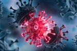 USA Coronavirus, Coronavirus, delta variant makes usa tensed again, Astrazeneca