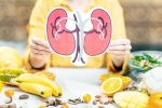 Healthy Kidneys 2025, Healthy Kidneys medicine, food items to include in your diet for healthy kidneys, Kidney health