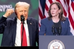 Kamala Harris, Kamala Harris, donald trump calls kamala harris is married to a jewish man, Fbi