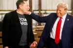 Donald Trump latest updates, Donald Trump updates, donald trump s praise for musk s starlink, Aditya