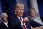 democrat, impeachment, donald trump s ban on who funding could get him impeached, Impeachment