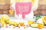 Better Gut Health news, Better Gut Health easy drinks, quick and easy drinks for better gut health, Better gut health Better Gut Health news, Better Gut Health easy drinks, quick and easy drinks for better gut health, Better gut health