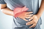 Liver Disease symptoms, Liver Disease medicines, here are early signs of liver disease you should not ignore, Viral
