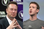 Elon Musk Vs Mark Zuckerberg updates, Mark Zuckerberg, elon musk vs mark zuckerberg rivalry, Lol