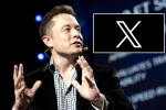 Twitter, X subscription paid news, elon musk announces that x would be paid for everyone, Revenue