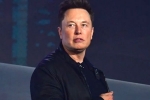 Elon Musk latest, Elon Musk news, elon musk talks about cage fight again, Snack