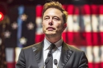 Elon Musk in Trump Cabinet, US elections, is elon musk in the trump cabinet, Fbi