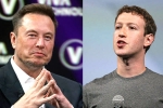 Elon Musk and Mark Zuckerberg latest, Elon Musk and Mark Zuckerberg breaking, elon vs zuckerberg mma fight ahead, Medal