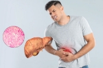 Fatty Liver research, Fatty Liver health, fatty liver can be reversed in just one month, Healthy fats