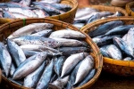 Fish health benefits, Fish doctors advise, eat this fish twice a week to stop hair loss, Unique