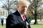 democracy, Republicans, former u s senators warn of constitutional crisis under trump, 2016 presidential campaign