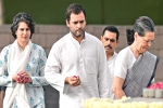 economist Jagdish Bhagwati, congress party, gandhi dynasty responsible for death of congress claims economist, Sonia gandhi
