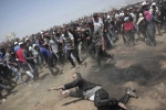 Palestinians fired by Israel forces, Palestinians fired by Israel forces, palestinians shot dead after bloodiest gaza day on relocating us embassy, Israel forces
