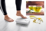Green Tea for Weight loss survey, Green Tea for Weight loss survey, can consuming green tea really help in weight loss, Weight loss tips