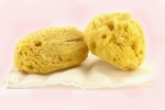 sea sponge tampons walmart, menstrual sponge cvs, gynecologist warns women against using sea sponges as reusable nurturing alternatives to tampons, Celine