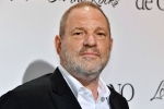 Harvey Weinstein, British Film Institute, uk probe into harvey weinstein s sexual assaults widens with seven women, Harvey weinstein