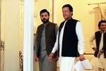 Imran Khan Party, Chris Pattern resignation, imran khan s new career options, Imran khan