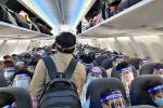 India and UAE travel updates, India and UAE travel breaking updates, guidelines for indians to fly to dubai, Abu dhabi